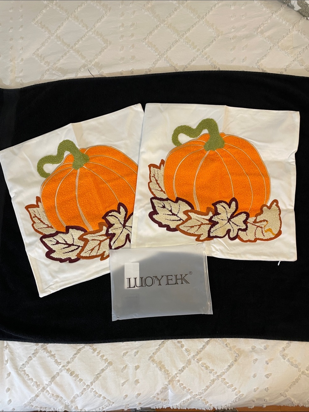 Orange Pumpkin Accent Pillow Covers - Set of 2 soft nwt
